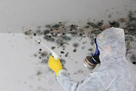 Forensic Mold Investigation in Vinita, OK